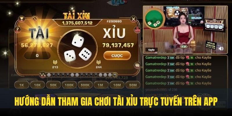 3 bước tham gia chơi tài xỉu trên app nhanh chóng