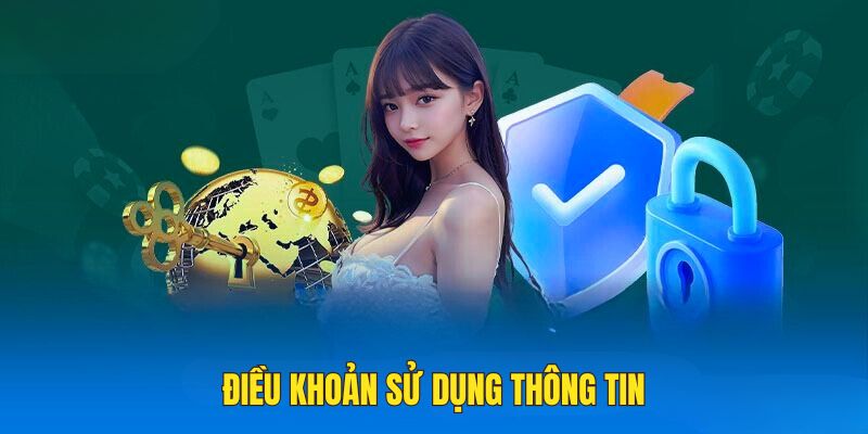 Các chính sách về điều khoản dịch vụ thông tin tại trang