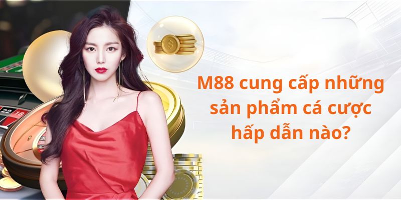 Nhà cái hiện đang cung cấp nhiều sản phẩm cá cược hấp dẫn cho bet thủ