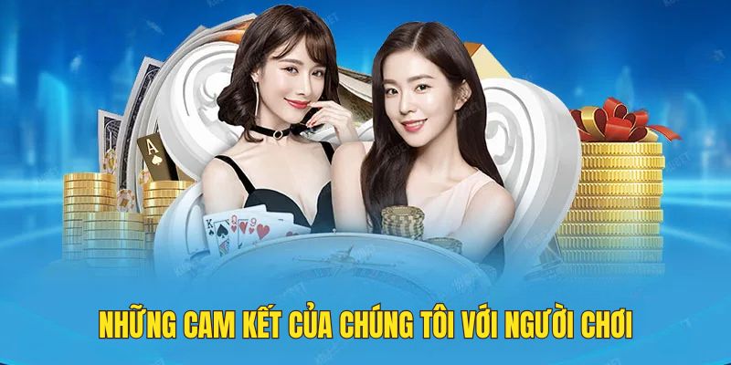 Tổng hợp những cam kết uy tín của trang web với người tham gia