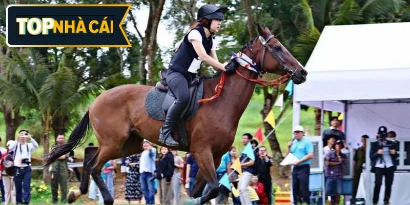 Lưu ý một số điều khi áp dụng các mẹo cá cược đua ngựa